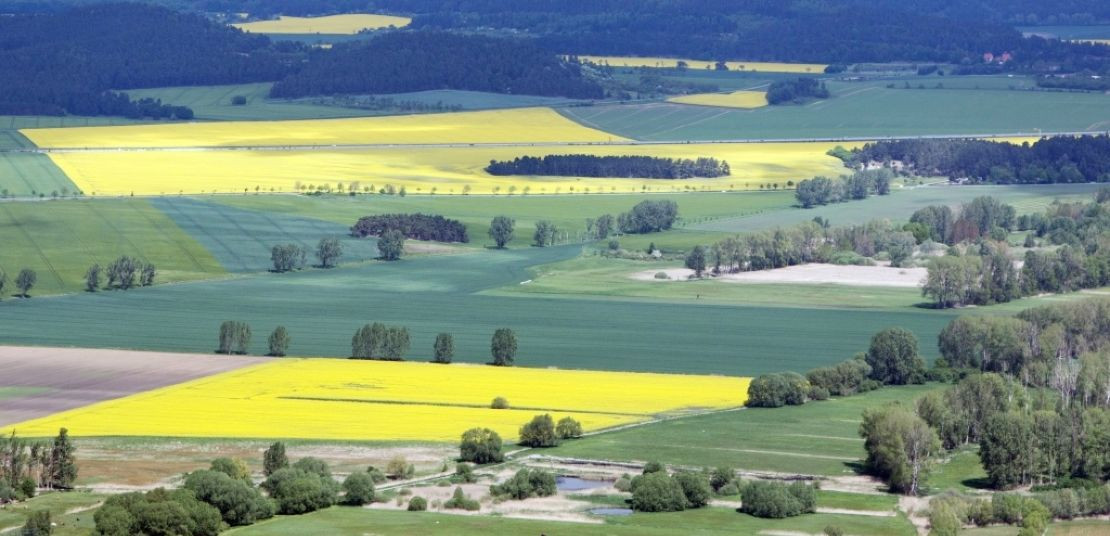 Luftbild einer kleinteiligen Agrarlandschaft mit Feldern, Hecken, Wegen und Waldflächen