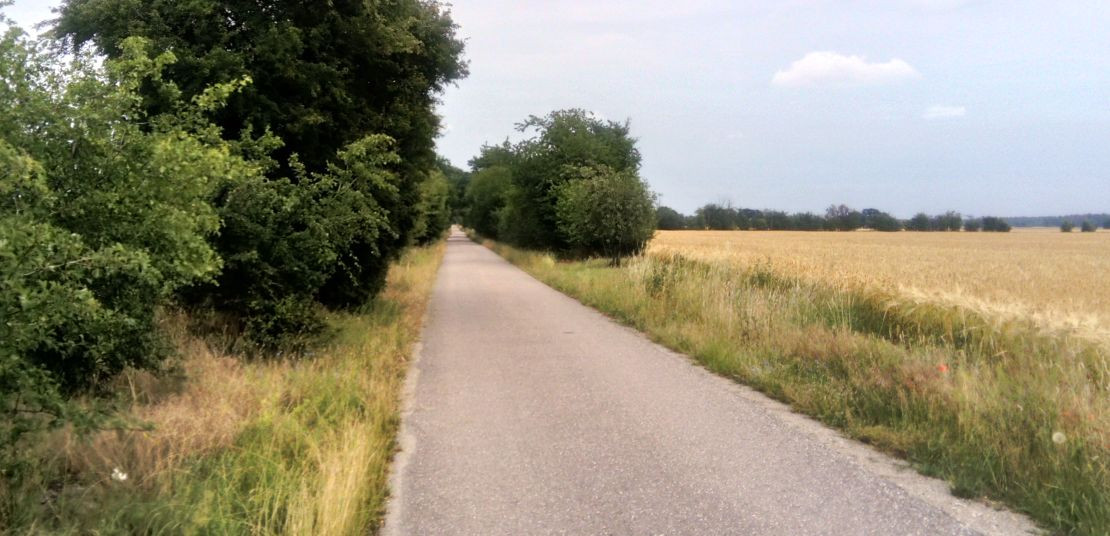 Das Bild zeigt einen asphaltierten Weg, eingerahmt in Sträucher und Bäume am Feldrand.