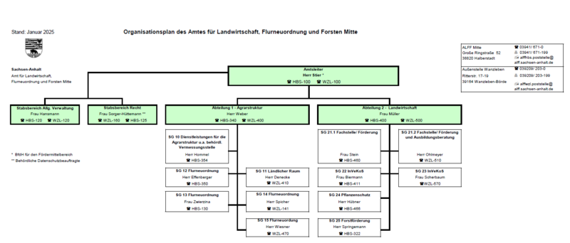 Organisationsplan ALFF Mitte