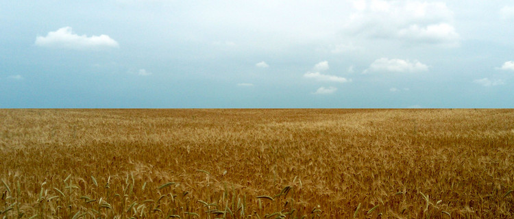 Das Bild zeigt eine blau-gelbe Landschaft